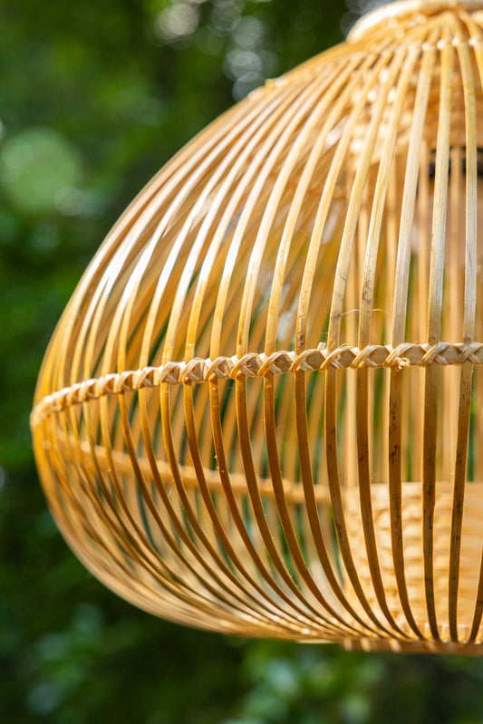 Ziya Bamboo Hanging Light